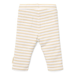 Hose Multi stripe | Little Dutch