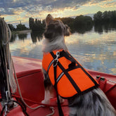 Hunde Schwimmhilfe neon orange Größe: M - 35 cm | Nobby