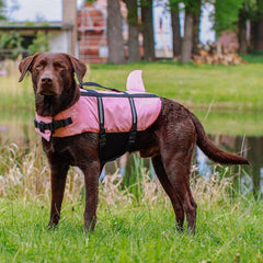 Hunde Schwimmhilfe "Sharki" pink Größe: L - 40 cm | Nobby